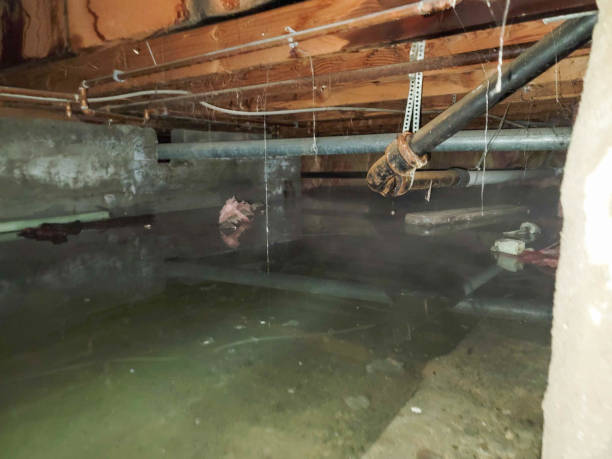 Best Wood Floor Water Damage Restoration in Woodville, CA